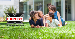 pest-control-ad-300x157 pest control conyers ga